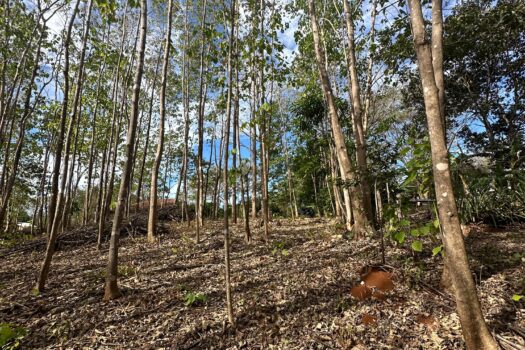 Welcome to Playa Avellanas – One of the Best Lots Available