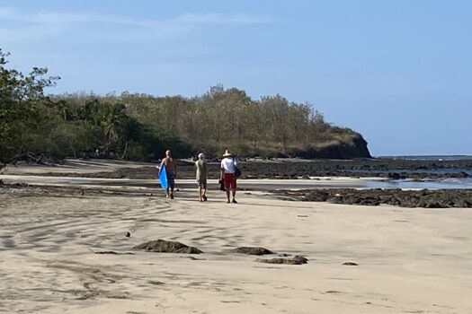 Build-Ready Lot Near Playa Avellanas – Gated Community