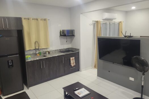 Playa Avellanas Investment Gem: 4 Units Walking Distance to the Beach