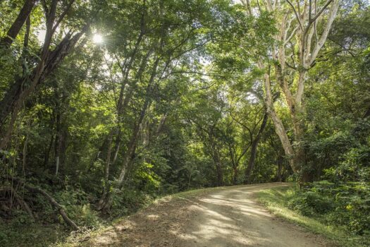 Carao T3-1: 5 Star resort condo in Reserva Conchal’s Carao development