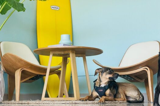 Cha Cafe, Tamarindo Costa Rica