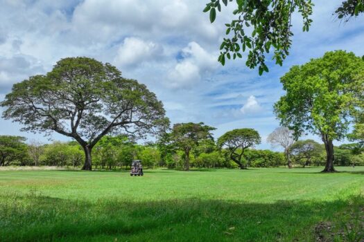 5000m2 Rare Estate Parcel | No HOA | Golf Front