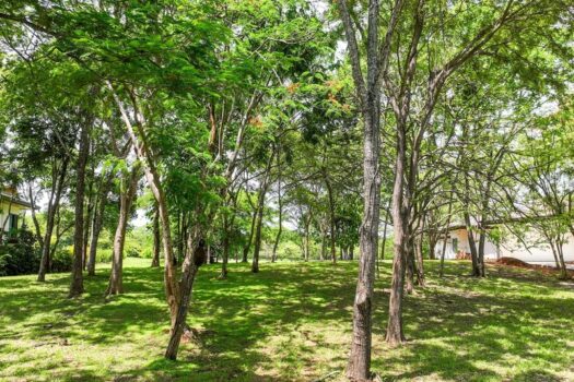 5000m2 Rare Estate Parcel | No HOA | Golf Front