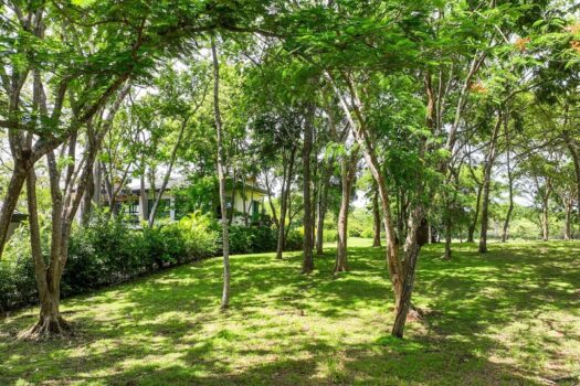 5000m2 Rare Estate Parcel | No HOA | Golf Front