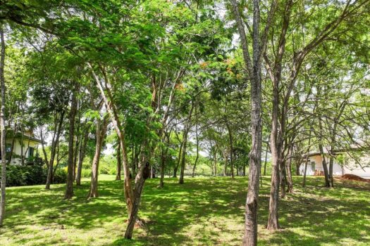 5000m2 Rare Estate Parcel | No HOA | Golf Front