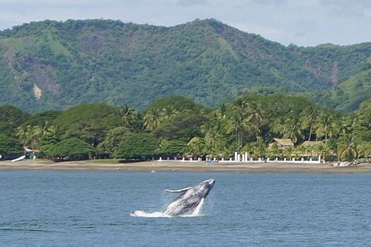 A Premier Eco-Commercial Investment on Costa Rica’s Gold Coast