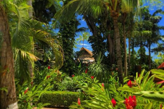 A Premier Eco-Commercial Investment on Costa Rica’s Gold Coast