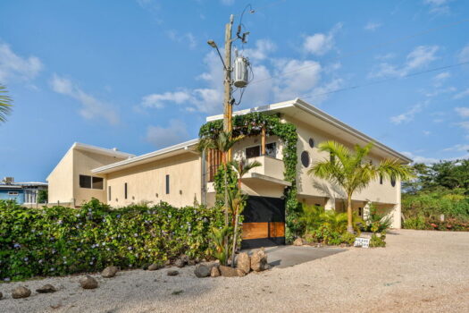 Pierre & Colors | Prime Corner Lot | Turnkey Income Property