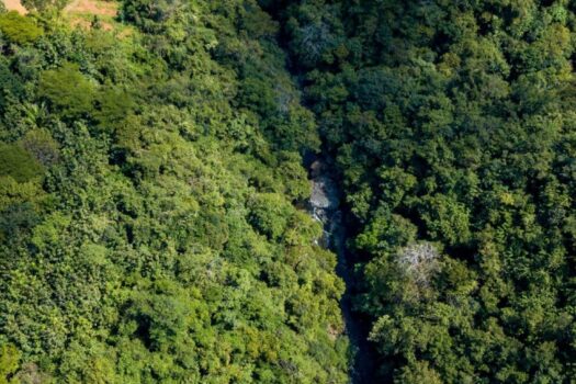 70-Acre Riverfront Development Land for Sale in San Juanillo | Finca with River