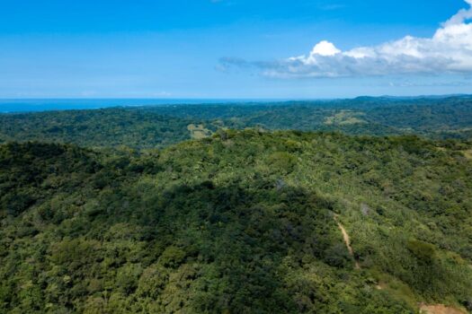 70-Acre Riverfront Development Land for Sale in San Juanillo | Finca with River