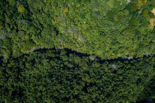 70-Acre Riverfront Development Land for Sale in San Juanillo | Finca with River