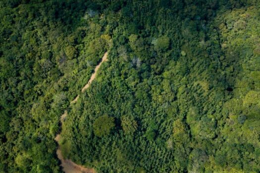 70-Acre Riverfront Development Land for Sale in San Juanillo | Finca with River