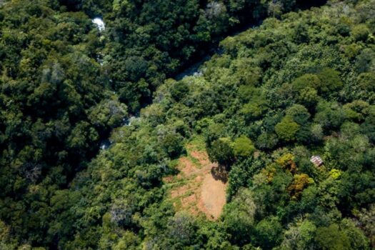 70-Acre Riverfront Development Land for Sale in San Juanillo | Finca with River