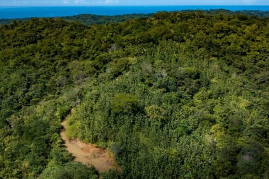 70-Acre Riverfront Development Land for Sale in San Juanillo | Finca with River